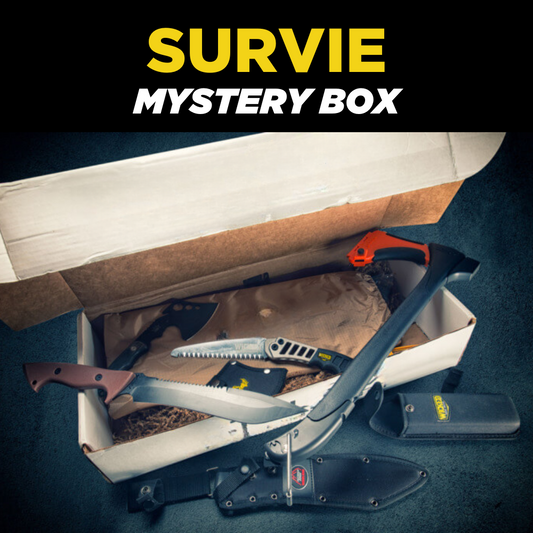 Mystery box SURVIE